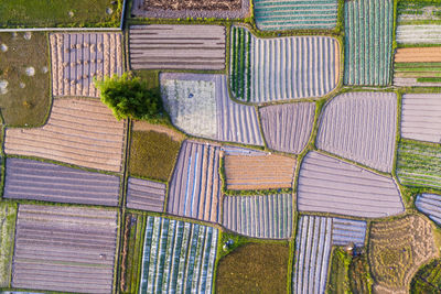 Full frame shot of multi colored farm