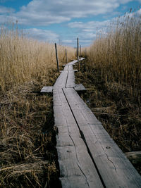 Boardwalk on field against sky