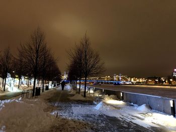 Bare trees in winter at night