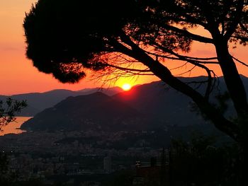 Silhouette tree against sky during sunset