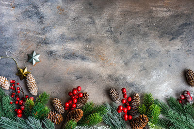 Close-up of christmas tree