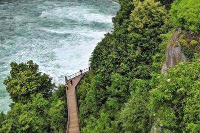 High angle view of trees by sea