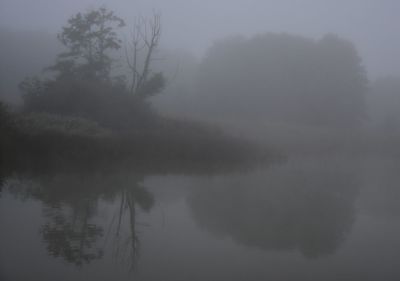 Reflection of trees in lake against sky