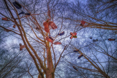 Bare trees against sky