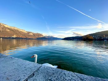 Scenic view of lake against blue sky