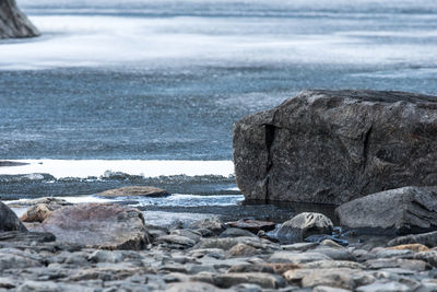 Driftwood on rock by sea against sky