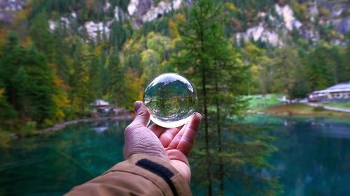 Midsection of person holding glass with reflection of trees