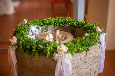 Potted plants on table