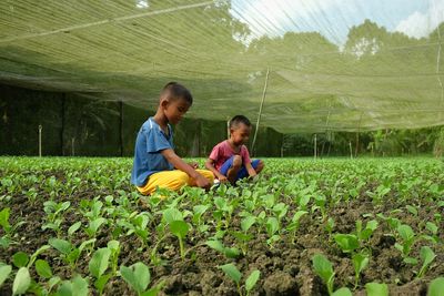 Rear view of children on field