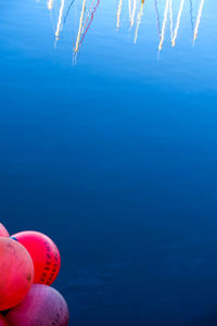 Reflection of person in sea