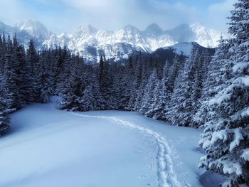 Scenic view of snow covered mountains against sky