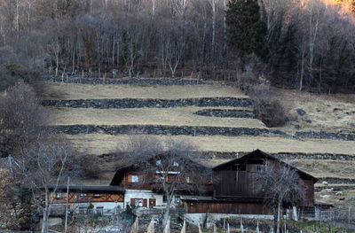 Built structure with trees in background