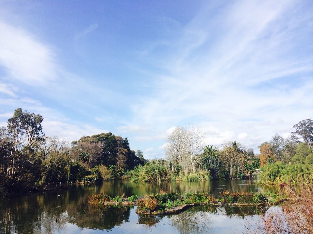 tree, water, tranquility, tranquil scene, sky, reflection, lake, scenics, beauty in nature, nature, growth, blue, cloud - sky, idyllic, waterfront, cloud, day, green color, outdoors, non-urban scene