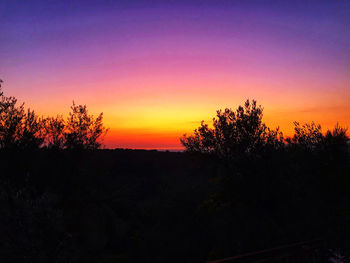 Silhouette trees against sky during sunset