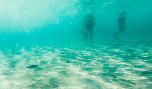 People swimming in sea