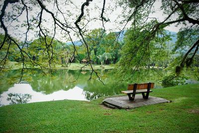 Empty bench in park by lake