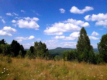 Scenic view of grassy field against cloudy sky