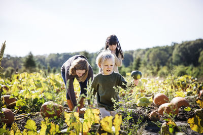 Family harvesting pumpkin in farm against sky