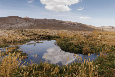 Scenic view of landscape against sky