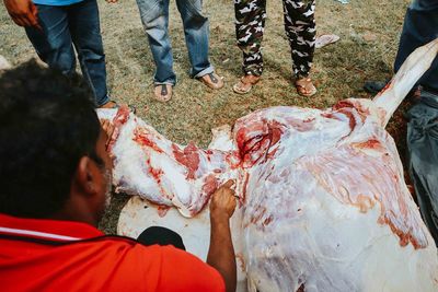 High angle view of man cutting meat