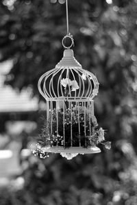 Close-up of hanging outdoors