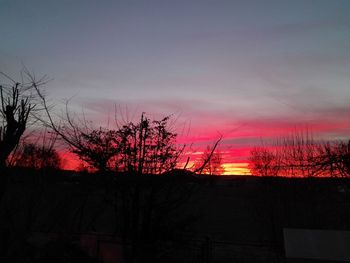 Silhouette bare tree against sky during sunset