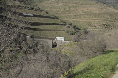 High angle view of horse on landscape