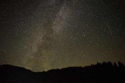 Low angle view of silhouette trees against sky at night