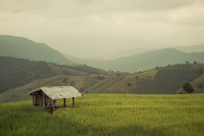 Scenic view of farm against sky