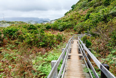 Footbridge amidst trees and plants against sky