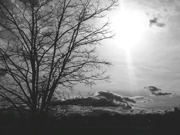 Low angle view of silhouette trees against sky