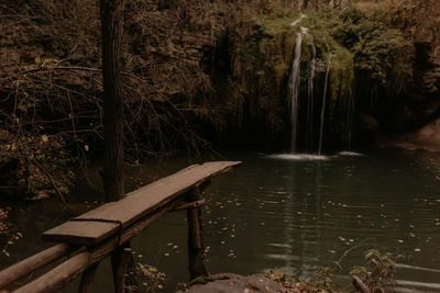 Scenic view of lake in forest
