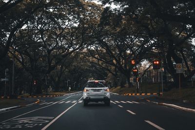 Cars on street in city