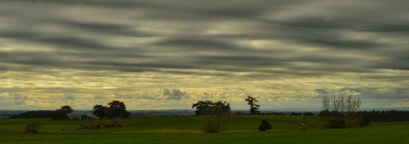 Scenic view of grassy field against cloudy sky