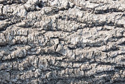 Full frame shot of rocks