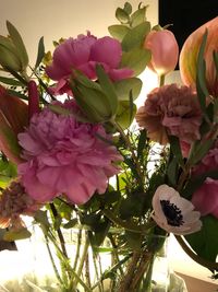 Close-up of flowers