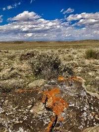 Scenic view of landscape against sky