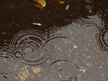 High angle view of puddle