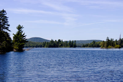 Scenic view of lake in forest against sky