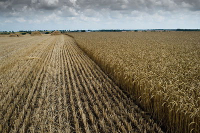 Scenic view of field against cloudy sky