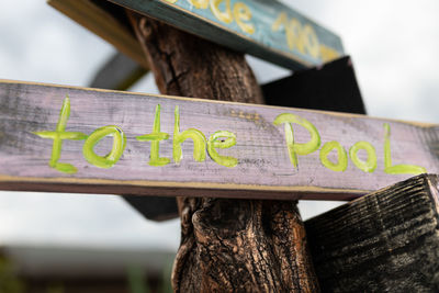 Low angle view of text on tree trunk