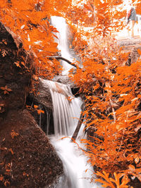 Scenic view of waterfall in forest during autumn