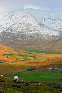 Scenic view of landscape against sky