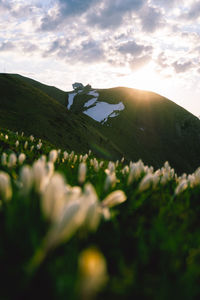 Scenic view of land against sky