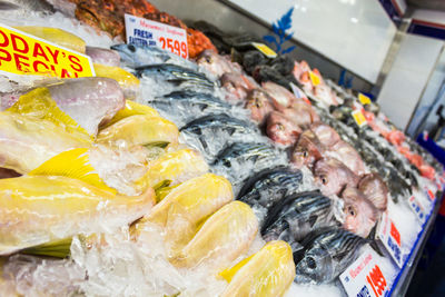 Close-up of fish for sale in market