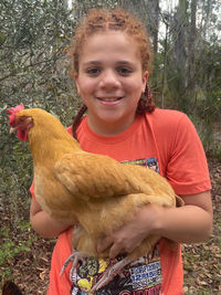 domestic animals