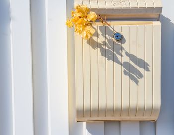 Close-up of yellow flower hanging on window