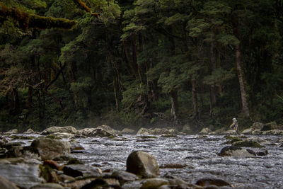 Stream flowing through rocks in forest