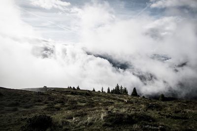 Panoramic view of landscape against sky