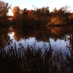 Scenic view of lake in forest during sunset